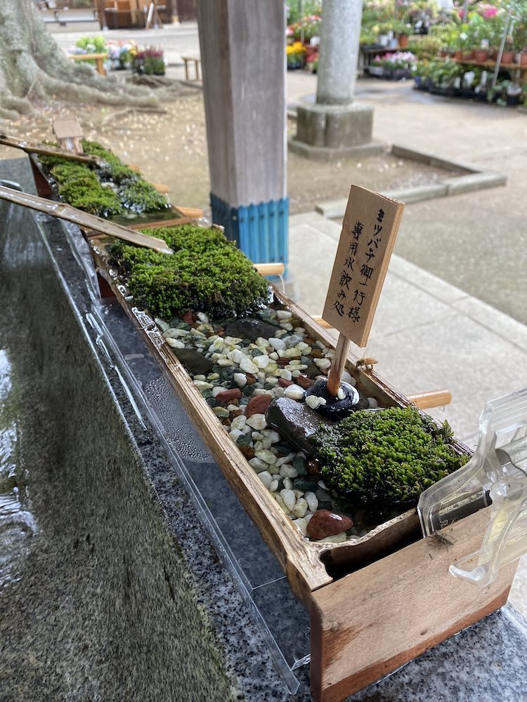 ⛩️ 히토코토누시 신사 (一言主神社) 이미지 5